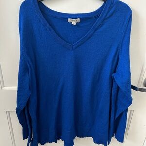 Style & Co. Royal Blue Knit Top